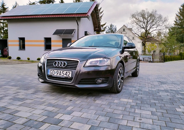 Audi A3 cena 16900 przebieg: 320000, rok produkcji 2008 z Karczew małe 466